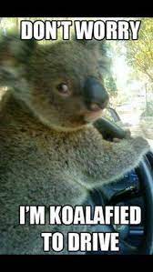 24 Fun Times Ideas Funny Pictures Bones Funny Hilarious