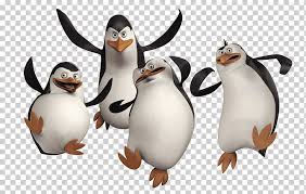 Escape 2 africa, the central protagonist of the penguins of madagascar, a supporting character in madagascar 3: Penguin Madagascar Dreamworks Animation Penguins Madagascar Penguins Animals Bird Film Png Klipartz