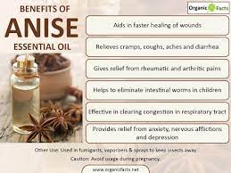 Pin On Essential Oils