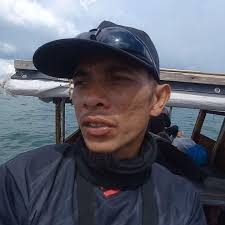 These Giant Goliath Groupers Weigh up to 800 Pounds!