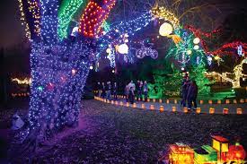 Fastest Botanical Gardens Durban Christmas Lights