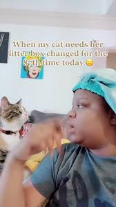 Like damn girl you act like I ain’t rescue you from a literal dumpster.  Stop being so boujee 🙄😑 ., ., ., ., ., ., ., ., ., #nanoinfluencer  #nanoinfluencers #microinfluencer #microinfluencers ...