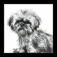5 out of 5 stars. Shih Tzu Furniture Traders Of Thirsk