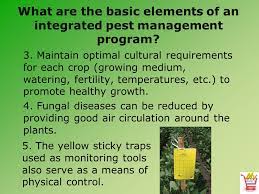 Homeowners can perform their own pest inspection, but may need the help of a professional to identify pests. What Is Integrated Pest Management Ppt Video Online Download