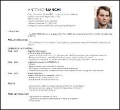 Esempio Curriculum Vitae Analista Informatico Livecareer