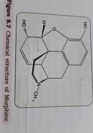 Maybe you would like to learn more about one of these? Write The Chemical Structure Of Morphine Brainly In