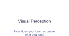 Visual Perception Notes12.ppt - Google Slides