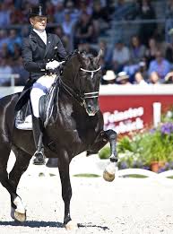 Ditmaal met zijn jongste hengst glock's total u.s. Piaffe Edward Gal Totilas Dressage Horses Eventing Horses Equestrian Dressage