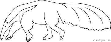 Free printable simple anteater coloring page in vector format, easy to print from any device and automatically fit any paper size. Very Simple Anteater Coloring Page Coloringall