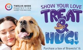 I did all my 'work' on the morning of my test for about an hour or so. Bravecto For Dogs And Cats How Good Is It Really