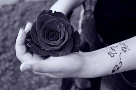 Vous recherchez une application de fond d'écran noir ou des fonds sombres, des images noires ou un fond d'écran noir et blanc? Papier Peint Amour Rose Noire Fond D Ecran De Tatouage A La Main 3843x2558 Wallpapertip