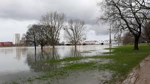 Hundertprozentige sicherheit vor den gefahren von hochwasser und sturmflut gibt es trotzdem nicht. Hochwasser Tiere In Gefahr Stadt Mannheim Appelliert An Hundehalter Region