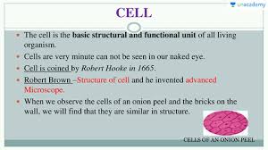 Where, prokaryotes are just bacteria and archaea to check if you have understood the cell parts, draw a blank animal cell diagram and try to fill in the different parts without referring to the labeled one given. Tnpsc Cell Structure In Tamil Offered By Unacademy