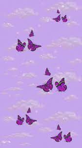 Sfondi tumblr rosa pastello 806 fantastiche immagini su sfondi tumblr sfondi sfondi carini. Wallpaper Butterfly Wallpaper Purple Butterfly Wallpaper Iphone Background Wallpaper