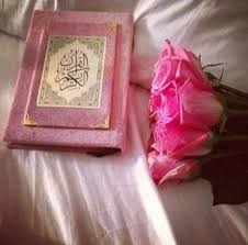 Tulips, colorful flowers, blue sky, spring, 5k. Wallpaper Flower Pink Quran Novocom Top