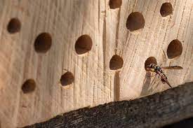ameliorer la communication de mon hotel hotel a insectes agence de communication instagram