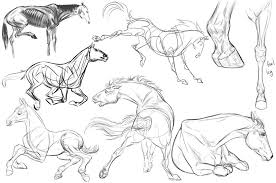 10 Inconceivable Drawing Animals In The Zoo Ideas Horse Drawings Animal Drawings Horse Sketch