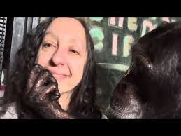 Kathy Freeze: Supporting Our Native Pollinators