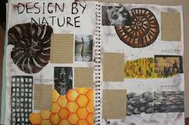 Recording Information On The Theme Natural Forms Environmental Art Art Sketchbook Observational Drawing