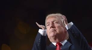 Trump With Tiny Hands Album On Imgur