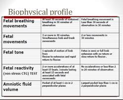 Image result for Biophysical Profile