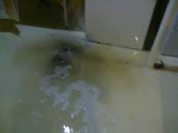 Maybe you would like to learn more about one of these? Basement Drain Backing Up Youtube