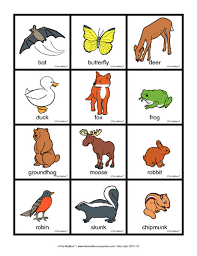 This is a list of nocturnal alligator and groups of animals. Science Cards Animals The Mailbox Diurnal Animals Nocturnal Animals Kindergarten Nocturnal Animals