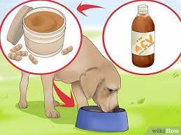 Appelazijn Gebruiken Bij Honden Wikihow