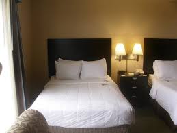 Choosing the right mattress size dimensions should be one of the first decisions you make before a what size bed should i get for my room? Nice Sleep Number Bed Foto Van Radisson Hotel Cincinnati Riverfront Covington Tripadvisor