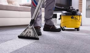 Finding the Best Carpet Cleaning Experts in Lilydale, VIC – A Local's Guide  – Every Aspect