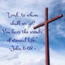 John 6 68 Lord To Whom Shall We Go You Have The Words Of Eternal Life Bibleverse Verse Scripture John John6 Eternallife Life Ete Journaling Joao 6