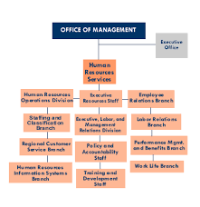 Om Organizational Chart Office Of Human Resources Services