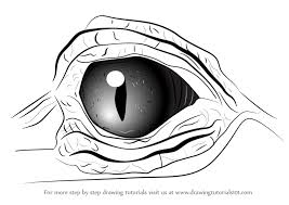 The eyes of animals, no matter how different, speak volumes about the creature's personality and before you start drawing the actual eyes, you need to create some space for them, some landmarks. Learn How To Draw Crocodile Eyes Other Animals Step By Step Drawing Tutorials
