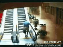 Help ive fallen and cant get up. Ive Fallen And I Cant Get Up Gifs Tenor