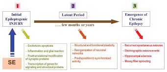 Image result for Status Epilepticus