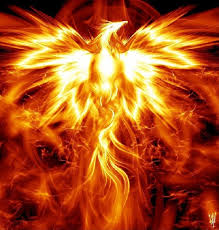 Phoenix Rising From The Ashes The New Divine Humanity