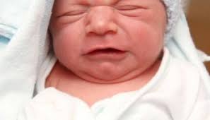 Oswego County TodaySaline Marie Lyn Webster