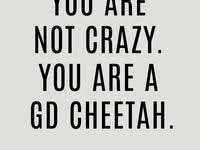  7 All Things Cheetah Ideas Untamed Quotes Cheetah Logo Cheetah Tattoo