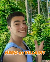 Core Cannabis Museum