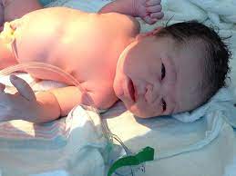 Tips menjaga bayi baru lahir. Neugeborene Geburt Baby Kostenloses Foto Auf Pixabay