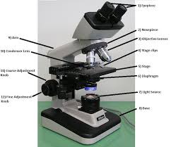 Parts And Functions Of A Light Microscope Part Ii Microscopic Science Questions Biology