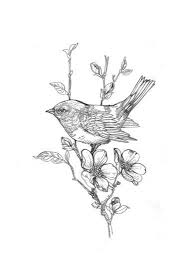 Hand Drawn Simple Bird On Branch Drawing Line Drawing Of Bird On Flowering Branch Art Print At Art Com Bird Drawings Flower Drawing Branch Art