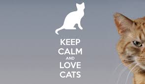 Jun 04, 2020 · they were seen as symbols of grace and poise — traits cats are still associated with today. International Cat S Day All That I Love