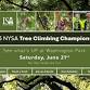 Tree Climbing Championship