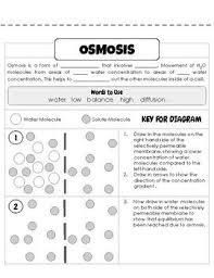 Diffusion Osmosis Worksheet Osmosis Osmosis Activity Graphing Quadratics