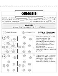 The movement does not use energy and is caused by the random movement of individual. Diffusion Osmosis Worksheet Osmosis Osmosis Activity Biology Notes