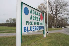 Chesterfield, va 23838 lake chesdin campground 713 sutherland rd , church road, va 23833 family landscape company 2700 chesdin lake rd , church road, va 23833 union baptist church 2140 chesdin lake rd , church road, va 23833 a s p riversedge/kee builders 21801 lake chesdin pkwy , chesterfield, va 23838 appomattox river conservation park 21501. Lake Chesdin Campground Virginia Is For Lovers