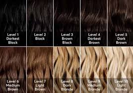 Check spelling or type a new query. Tips Memilih Warna Cat Rambut Yang Sesuai Dengan Warna Kulit Blog Unik