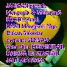 Kata Bijak Volly Celoteh Bijak