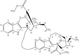 Image result for Cryptolepis obtusa